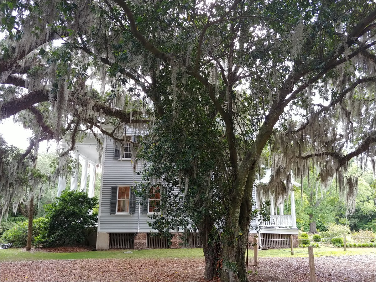 Remaking History at McLeod&nbsp;Plantation